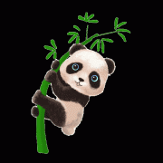 全国防灾减灾日这些防灾减灾学问请查