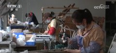 “中国制制”质量出众花腔“上新”收成好评 界